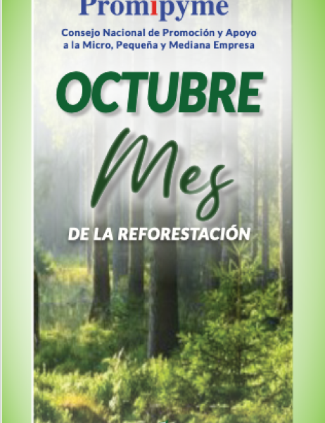 56 Arbol01