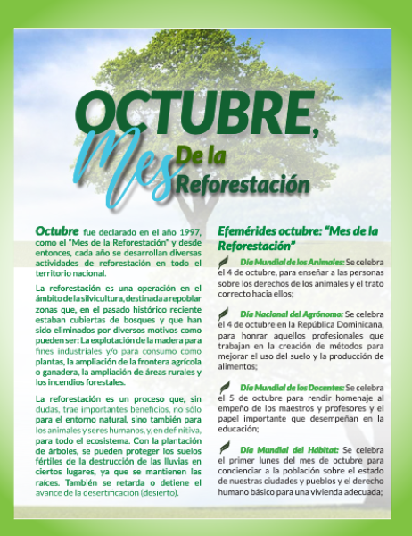 57 Arbol02