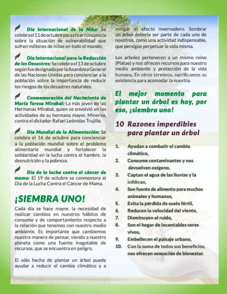 58 Arbol03