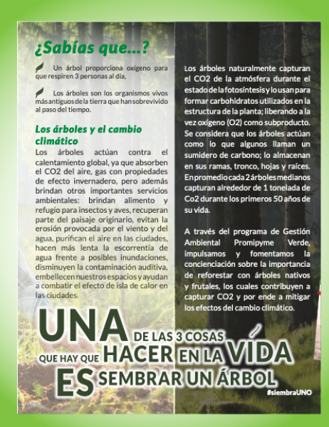 59 Arbol04
