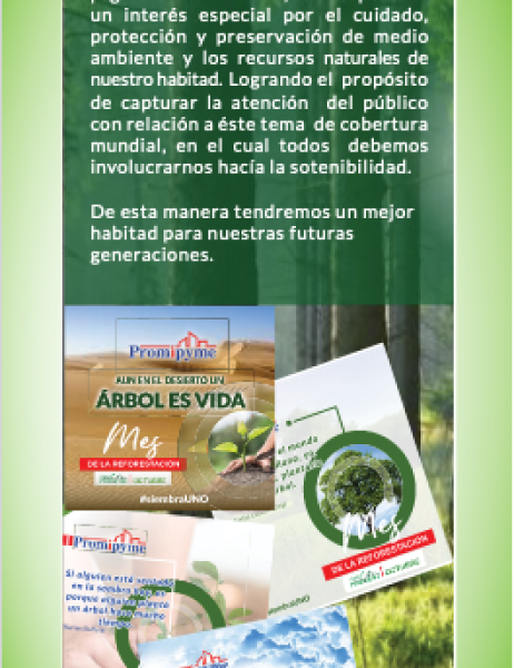 60 Arbol05