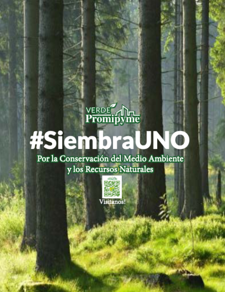 64 Informe04